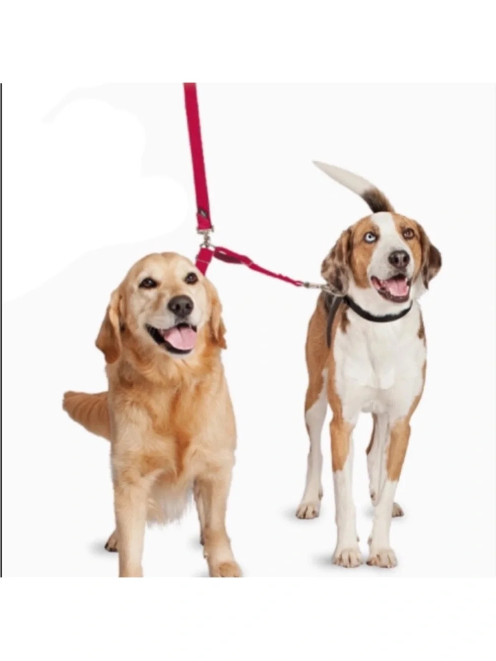 Pet Safe Adjustable Red Dual Coupler Sz Large